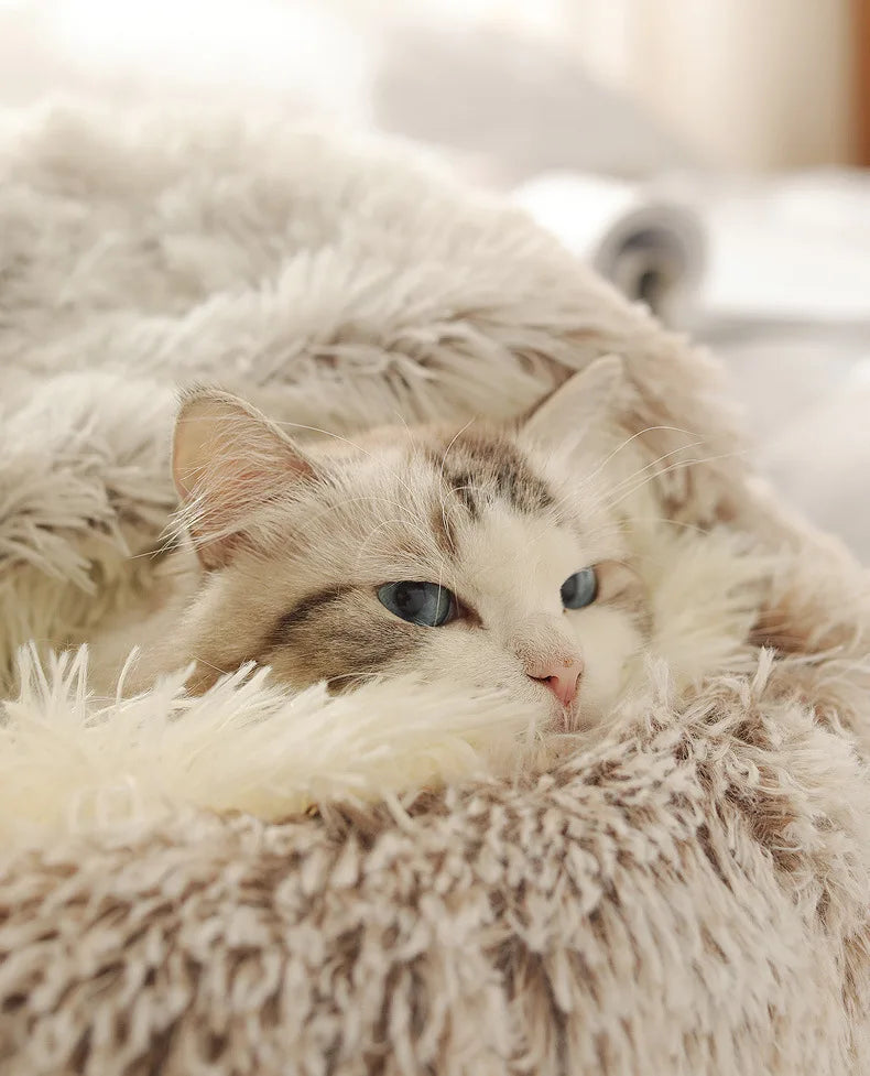 Autumn & Winter Soft Plush Pet Bed